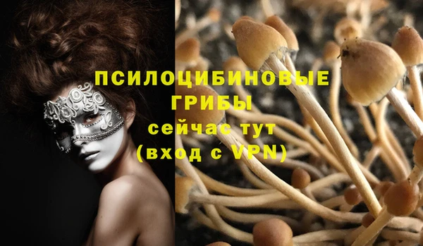 амфетамин Алексин