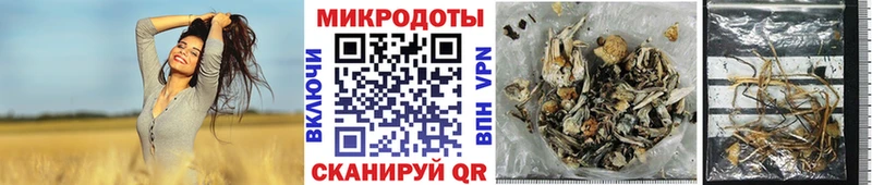 Псилоцибиновые грибы мухоморы Каменск-Уральский